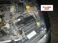 vectra1.webp