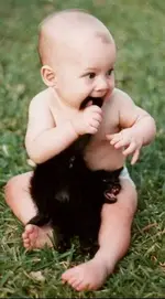 NE BULSAK YERİZ.webp