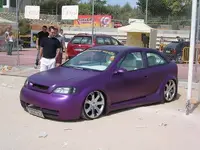 33693_max[1].webp