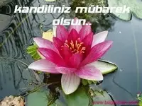 kandil1.webp