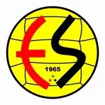eskisehirsporlogo[1].webp