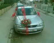 Görüntü015.webp
