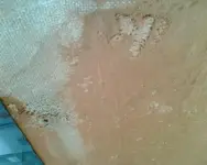 Foto003.webp