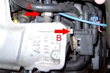 MP09.webp