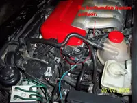 100_3528a1.webp