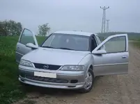 DSC00383 (Large).webp