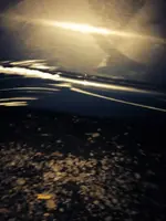 1484319_10152085392043180_80607073_n.webp
