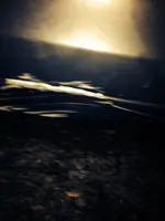 1533737_10152085391843180_335375701_n.webp