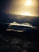1535510_10152085390758180_436601206_n.webp