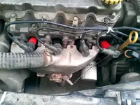 unnamed (4).webp