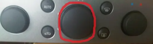1319186558.webp