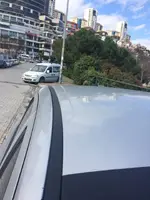 12804094_10153993496390816_1500785278_n.webp