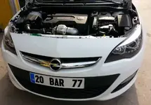 asfgf.webp