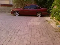 untitled.webp
