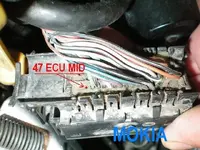 MID ECU POINT.webp