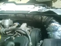 IMAG0291.webp
