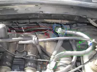 DSCN5806.webp