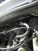 DSCN5807.webp