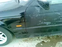 DSC00384.webp