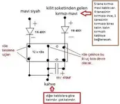 sema1(2000 üstü).webp