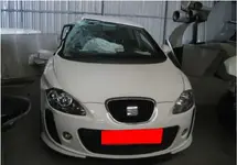 LEON1.webp