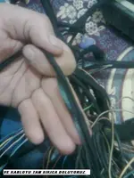 Görüntü0529.webp