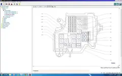 role corsa c.webp