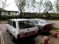 toros2.webp