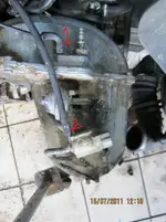 vectra gt1.webp