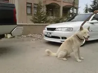 20130401_171442.webp