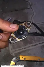 IMAG0011.webp