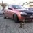 bayar